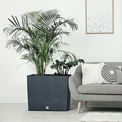 Black - Rato Case Tall Rattan Rectangle Flower Pot