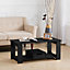Black Simple Wooden Coffee Table with 1 Drawer