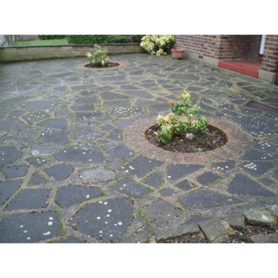 Black Spot Remover Xtreme, Remove Black Spot for Driveways, Patios, Natural Stone, Block Paving and Slabs, 3 x 5L