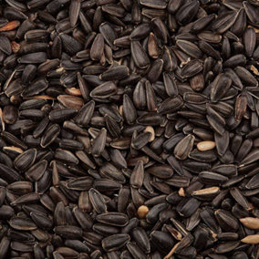 Black Sunflower Seeds Premium High Oil Content Wild Bird Food by Happy Beaks (25.5kg)