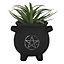 Black Terracotta Cauldron Design Plant Pot for Small Plants. Pentagram Emblem. (Dia) 11.5 cm