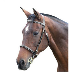 Blenheim Fancy Stitch Leather Horse Inhand Bridle Black (Cob)