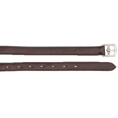 Blenheim Horse Stirrup Leathers Havana (48in x 0.75in) Price Comparisons | Compare The Build