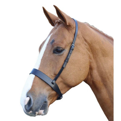 Blenheim Hunter Leather Horse Cavesson Black (Full) Price Comparisons | Compare The Build