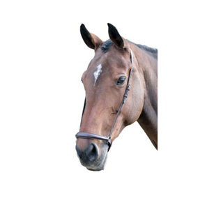 Blenheim Leather Horse Drop Noseband Havana (Pony)