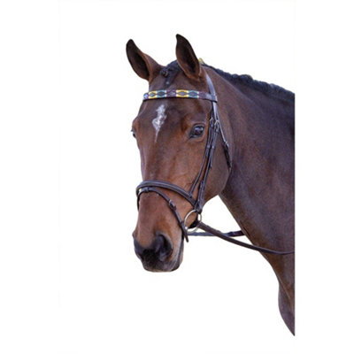 Blenheim Leather Polo Horse Browband Purple/Dark Green/Yellow (Full) Price Comparisons | Compare The Build