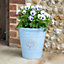 Blenheim Planter - Weather Resistant Recycled Plastic Embossed Tree Design Garden Flower Plant Pot - Aqua, H31 x 30cm Diameter