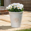Blenheim Planter - Weather Resistant Recycled Plastic Embossed Tree Design Garden Flower Plant Pot - White, H31 x 30cm Diameter