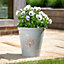 Blenheim Planter - Weather Resistant Recycled Plastic Embossed Tree Design Garden Flower Plant Pot - White, H41 x 40cm Diameter