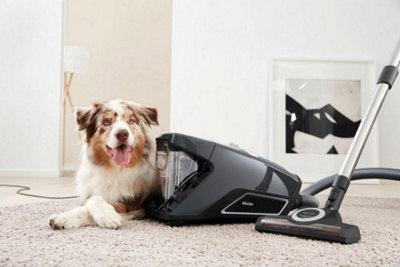 Blizzard Comfort Cat & Dog Cylinder Vacuum Cleaner - Grey