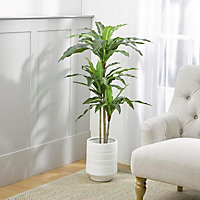 Bloom Artificial 4ft Dracaena Tree Plant in Black Nursery Pot - Faux Fake Tall Green Houseplant, Indoor Home Decoration - H120cm