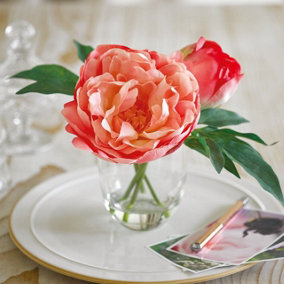 Bloom Artificial Anais Peony Arrangement in Clear Wide-Neck Vase - Faux Fake Realistic Coral Flower Centrepiece - H21 x W30cm
