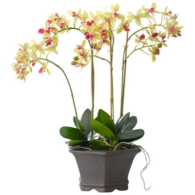 Bloom Artificial Dawn Chorus Orchid Arrangement in Pot - Faux Fake Yellow & Pink Flower Potted Houseplant - H45 x W32cm