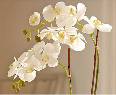 Bloom Artificial Double Phalaenopsis White Orchid Flower in Vase - Faux Fake Realistic Floral Home Decoration - H60cm x W30cm
