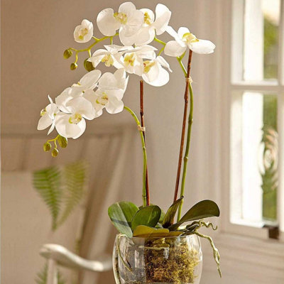 Bloom Artificial Double Phalaenopsis White Orchid Flower in Vase
