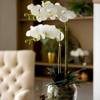 buy string of pearls plant Faux String of Pearls Plant main image 0