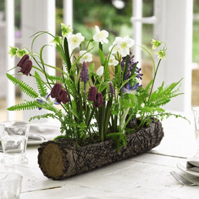 Bloom Artificial Hawthorne Arrangement in Branch Vase - Faux Fritillaries Irises & Snowdrop Flowers & Fern - H39 x W40 x D10cm