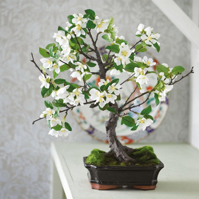 Bloom Artificial Kyoto Pear Blossom Bonsai Tree in Planter - Japanese Oriental Style Indoor Faux Houseplant - H48cm x W43cm