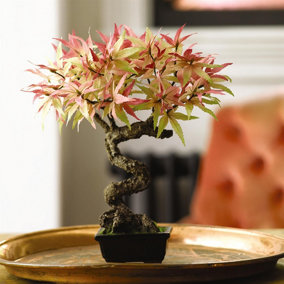 Bloom Artificial Maple Bonsai Tree in Planter - Faux Fake Japanese Oriental Style Indoor Houseplant - Measures H35cm x W20cm