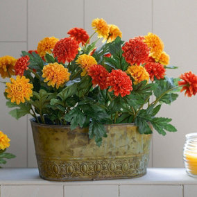 Bloom Artificial Marigold Arrangement in Trough - Colourful Faux Fake Flower Display, Indoor Home Floral Decoration - H32 x W27cm