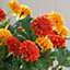 Bloom Artificial Marigold Arrangement in Trough - Colourful Faux Fake Flower Display, Indoor Home Floral Decoration - H32 x W27cm