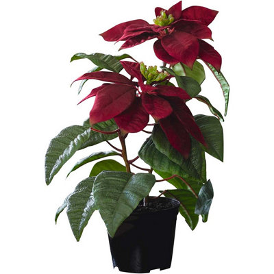 Bloom Artificial Red Poinsettia Plant In Pot - Faux Fake Realistic ...