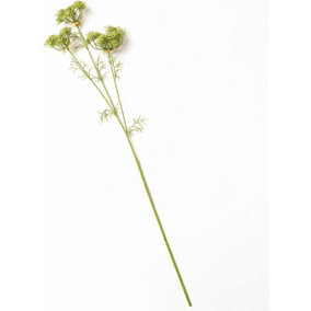 Bloom Artificial Single Green Angelica Stem 80cm - Faux Fake Realistic Flower Indoor Home Decoration, Vase Not Included