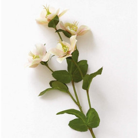 Bloom Artificial Single  Hellebore Flower Stem - Faux Fake Silk Flower Indoor Home Decoration Floral Arrangements - Measures L39cm