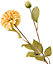 Bloom Artificial Single Orange Dahlia Bud Stem 73.5cm - Faux Fake Realistic Flower Indoor Home Decoration, Vase Not Included