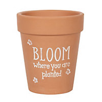 Bloom Where You Are Planted Terracotta Plant Pot (H17 x W15 cm)