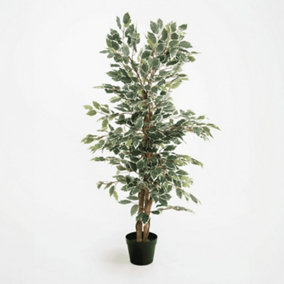 Blooming Artificial - 120cm / 4ft Variegated Faux Ficus Tree - Indoor Use - Pack of 1