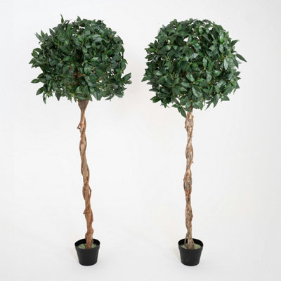 Blooming Artificial - 150cm / 5ft Artificial Bay Laurel Tree (Pair) Topiary