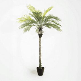 Blooming Artificial - 175cm / 5.75ft Artificial King Palm Tree - Indoor & Outdoor Use - Pack of 1