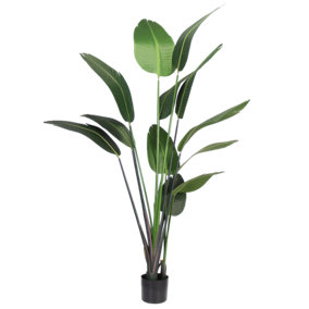 Blooming Artificial 175cm Green Artificial Strelitzia  - Fake Palm Tree - Pack of 1
