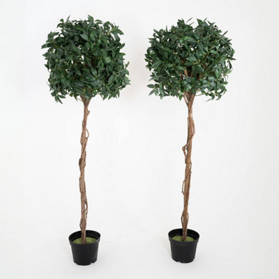 Blooming Artificial - 180cm / 6ft Artificial Bay Laurel Tree (Pair) Topiary