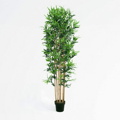 Blooming Artificial - 180cm / 6ft Fake Oriental Bamboo - Indoor & Outdoor  Use - Pack of 1