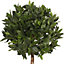 Blooming Artificial 2.2ft / 70cm Green Artifical Bay Bush Ball  - Bay Fake Topiary Tree - Pack of 2