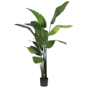 Blooming Artificial 200cm / 6.5ft Green Artificial Strelitzia  - Fake Palm Tree - Pack of 1