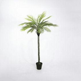 Blooming Artificial - 240cm / 7.75ft Faux King Palm Tree - Indoor & Outdoor Use - Pack of 1