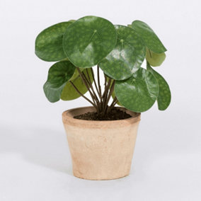 Blooming Artificial - 25cm / 0.75ft Artificial Pilea Bush - Indoor Use - Pack of 1