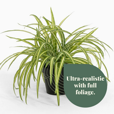 big outdoor pot plants Gardenesque x Ecopots main image 1