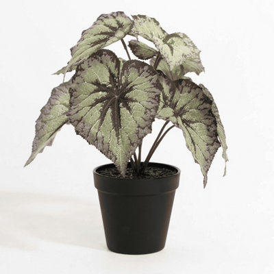 Blooming Artificial - 28cm / 1ft Green / Brown Artificial Begonia Rex Plant