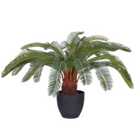 Blooming Artificial 2ft / 65cm Green Artificial Cycas Revoluta Plant - Exotic Indoor Faux - Pack of 1