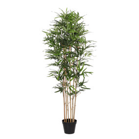 Blooming Artificial 5ft / 150cm Green Artificial Oriental bamboo  - Indoor Outdoor Fake Bamboo - Pack of 1