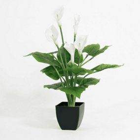Blooming Artificial - 64cm / 2ft Green / White Fake Calla Lily - Indoor Use - Pack of 1