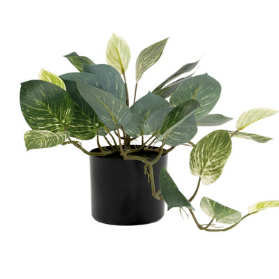 Blooming Artificial - Faux Pothos Trailing Plant in Pot - Green Fake House  Plant