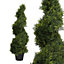 Blooming Artificial Pair of 3ft / 90cm Green Artificial Cedar Spiral - Spiral Topiary Tree, Pack of 2