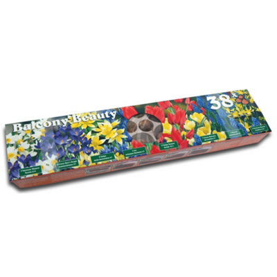 Blooming Fast 2 x Drop In Bulb Planter Balcony Beauty Pack - 7