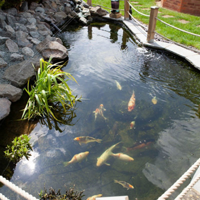 Green water pond hot sale treatment