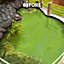 Blooming Fast Pond Clear Pro - Pond Treatment up to 10,000 Litres, Natural Ingredients, Clear Algae, Blanket Weed & Green Water